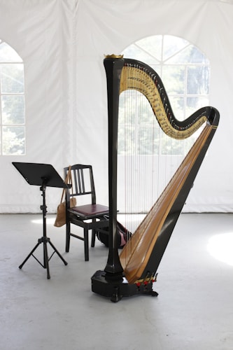 Harp orchestration keyboard instruments