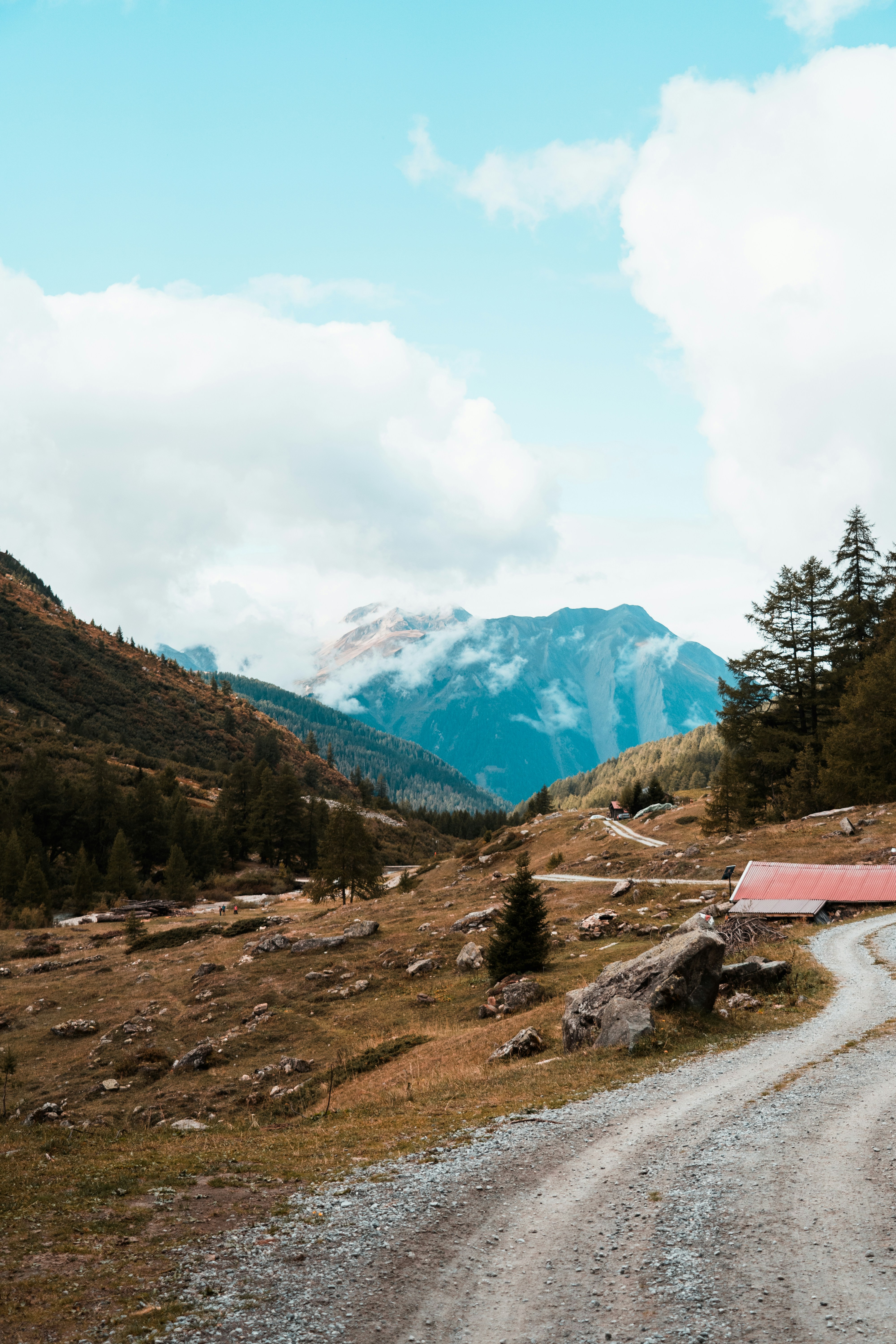 Photo by mitchelanneveldt