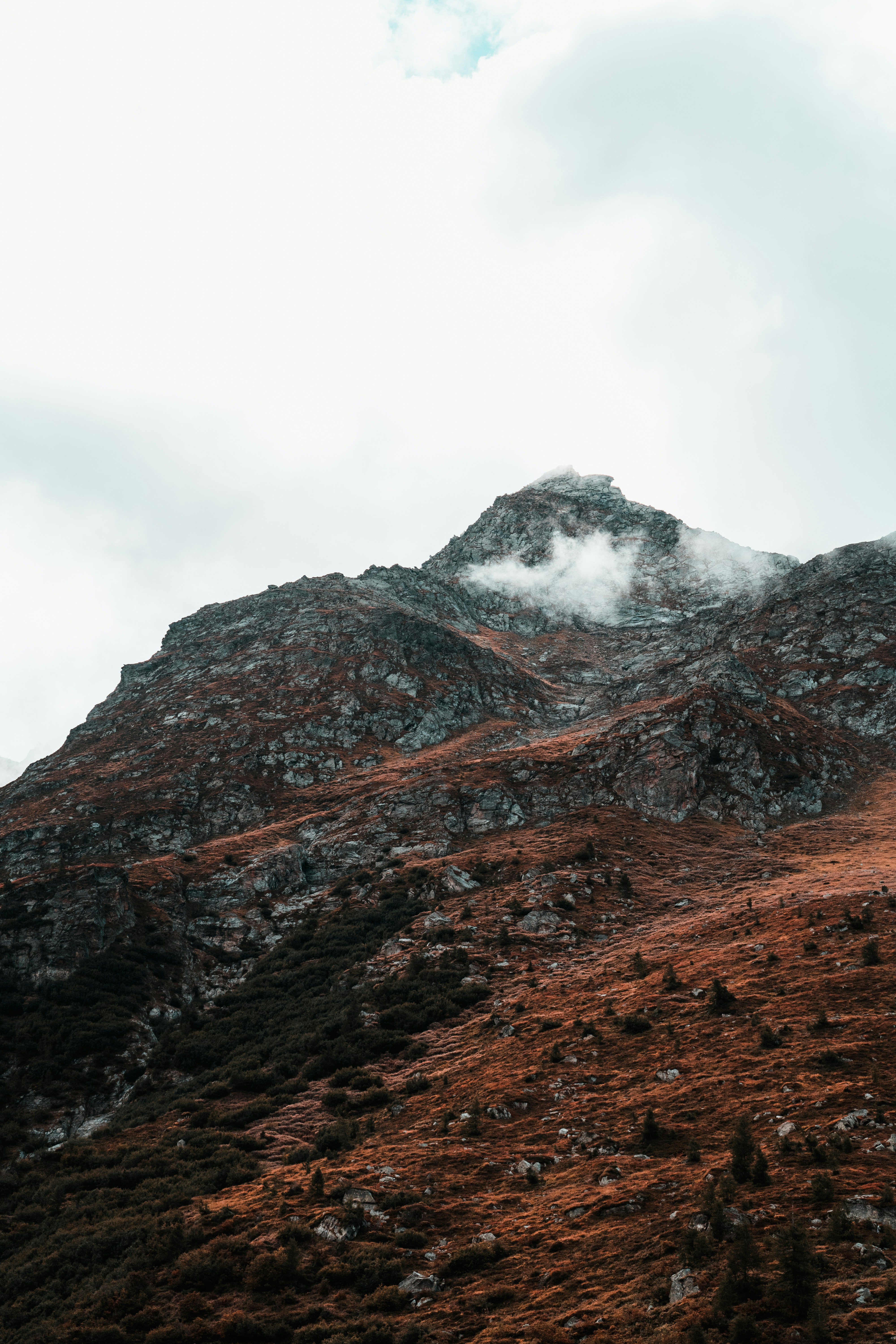 Photo by mitchelanneveldt