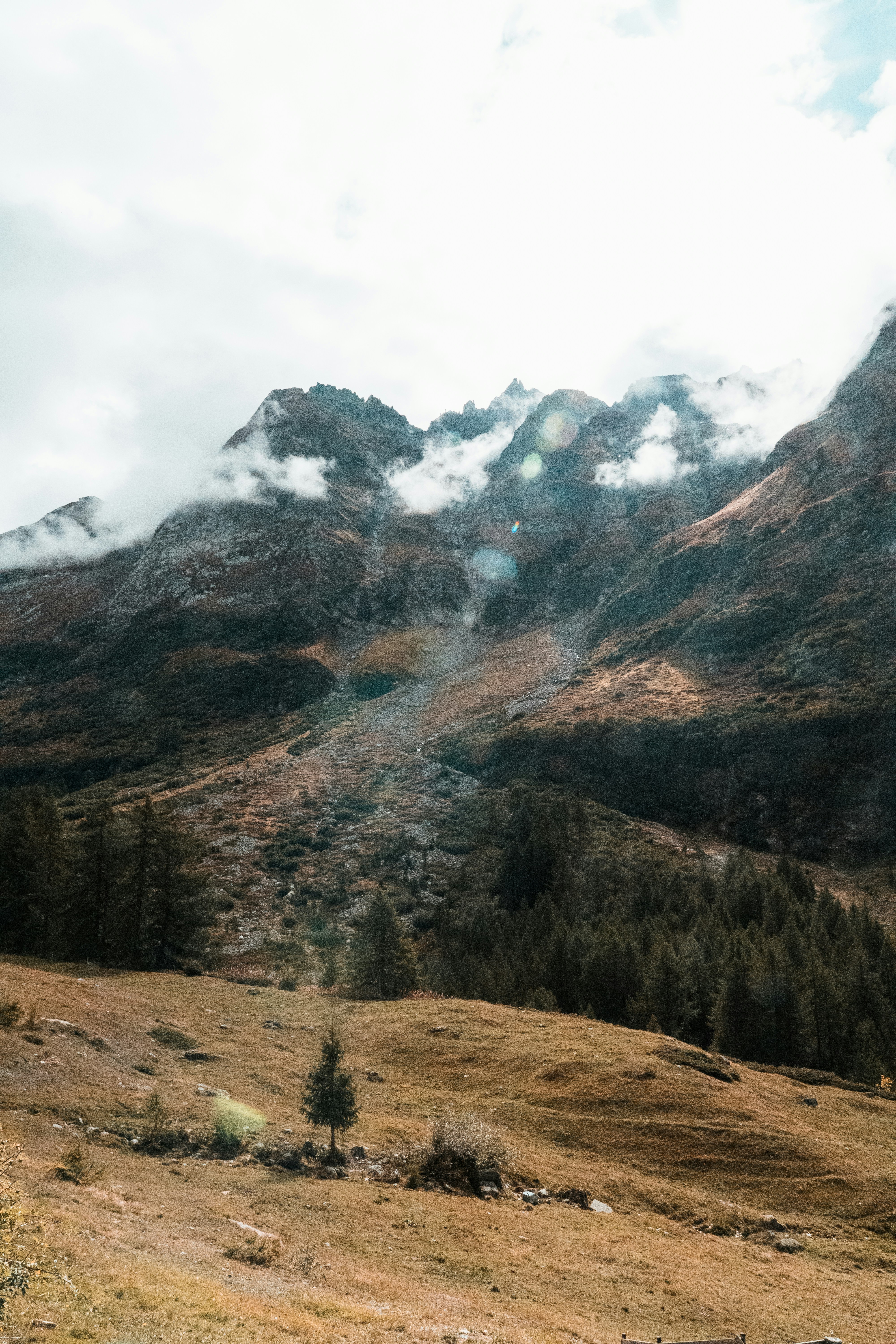 Photo by mitchelanneveldt