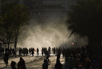 people walking on street during daytime