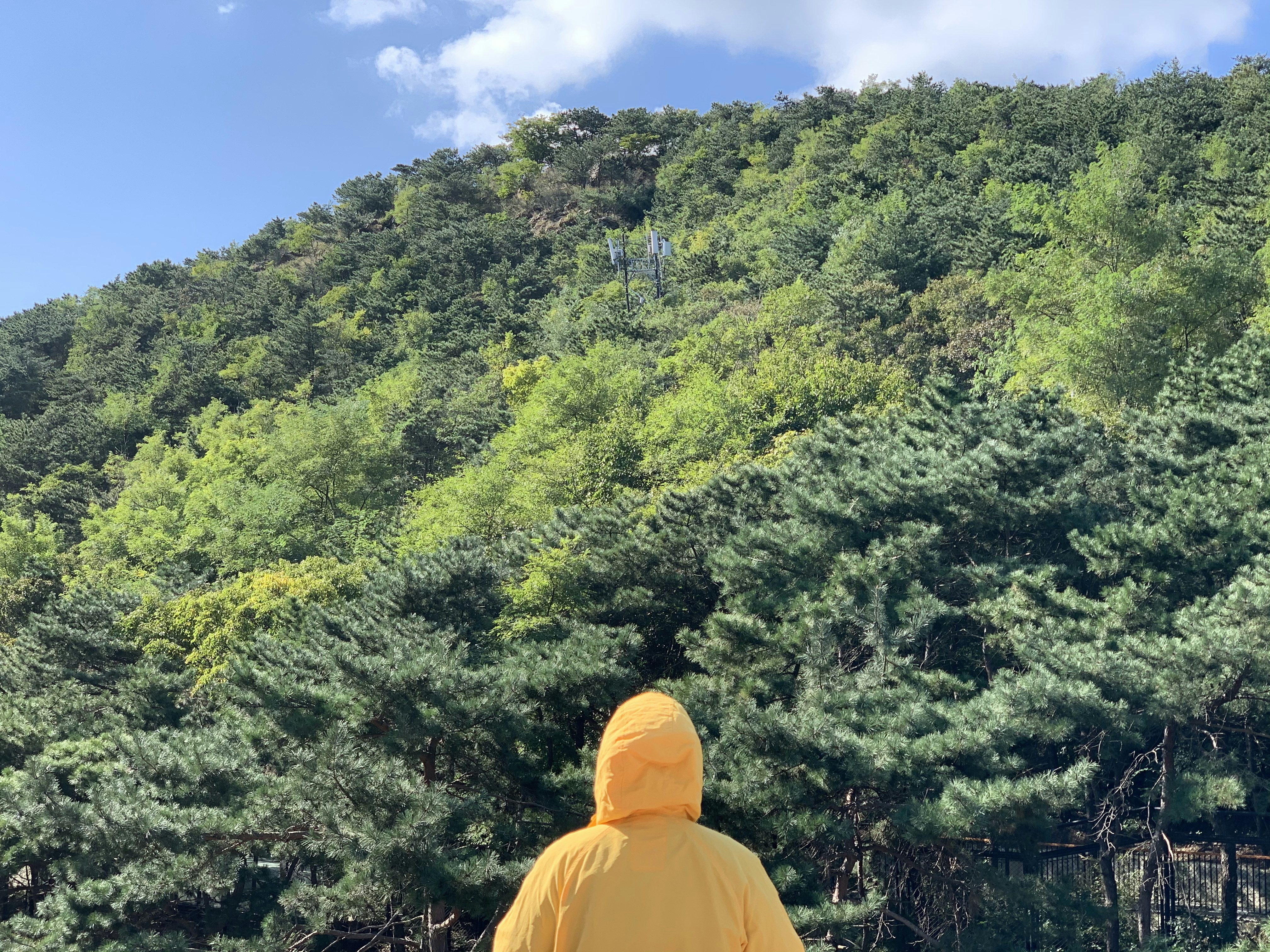 두 대에 같이 깔려는데 위메 꼭 알아야 할 정보를 담은 심플 타이포그래피 표지 - 참고용 이미지