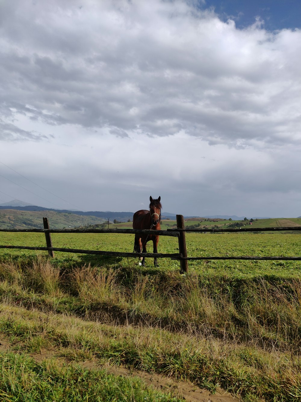 man riding horse on green grass field under white clouds during daytime