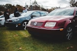 A group of enthusiastic Volkswagen owners sharing stories beside their classic cars.