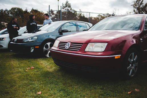 Several Volkswagen cars are parked in a grassy area. There are four people standing near the cars, engaged in conversation. The background includes trees and a fence.