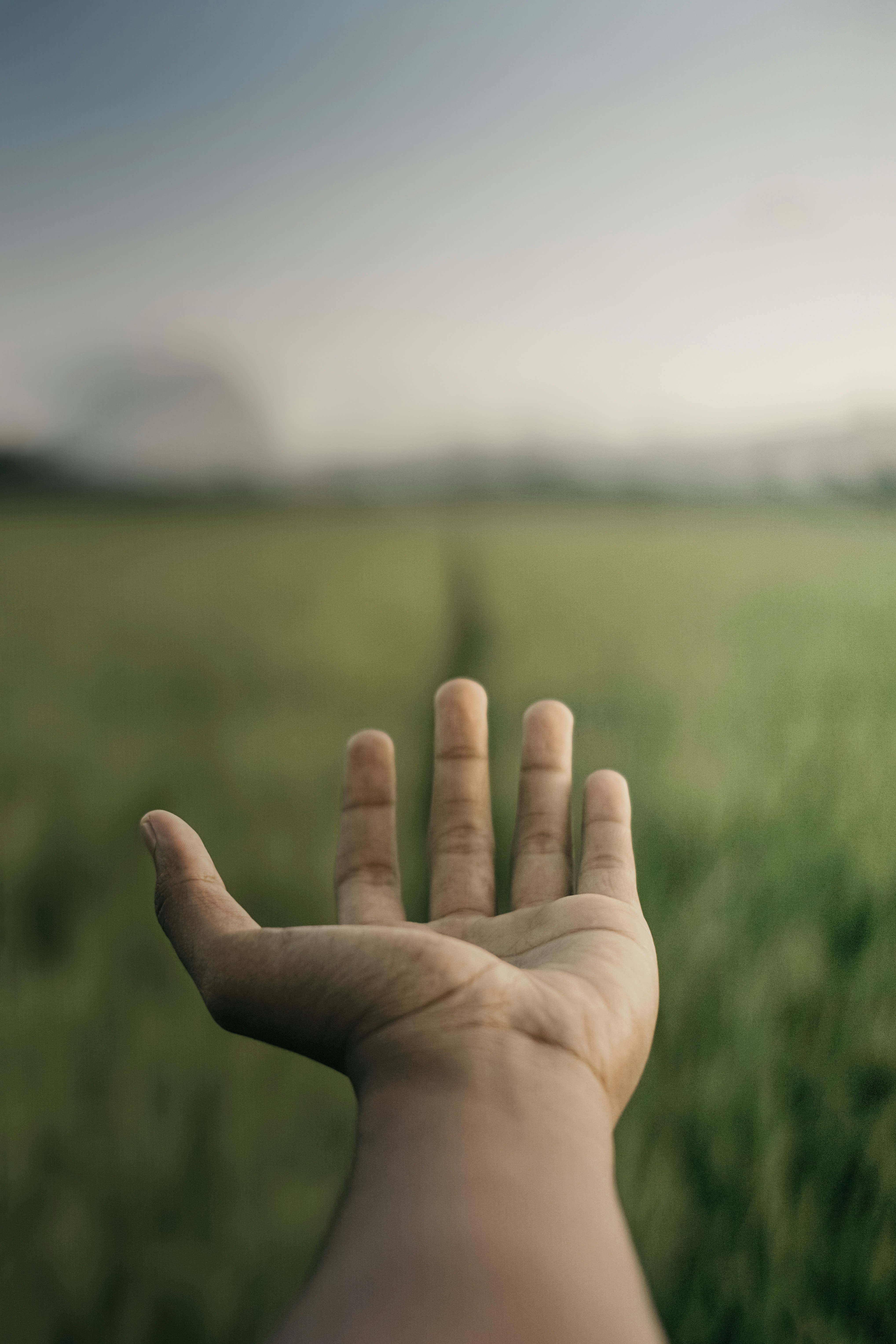 a person holding their hand out in a field