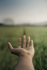 a person holding their hand out in a field
