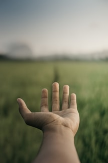 a person holding their hand out in a field