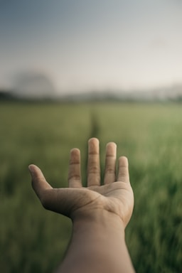 a person holding their hand out in a field