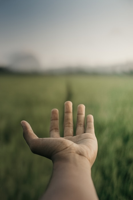 a person holding their hand out in a field
