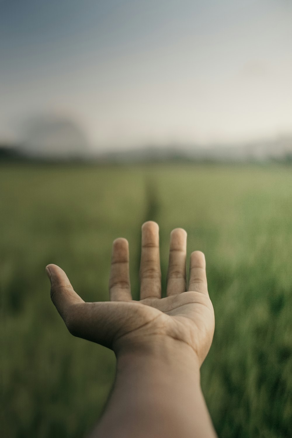 a person holding their hand out in a field