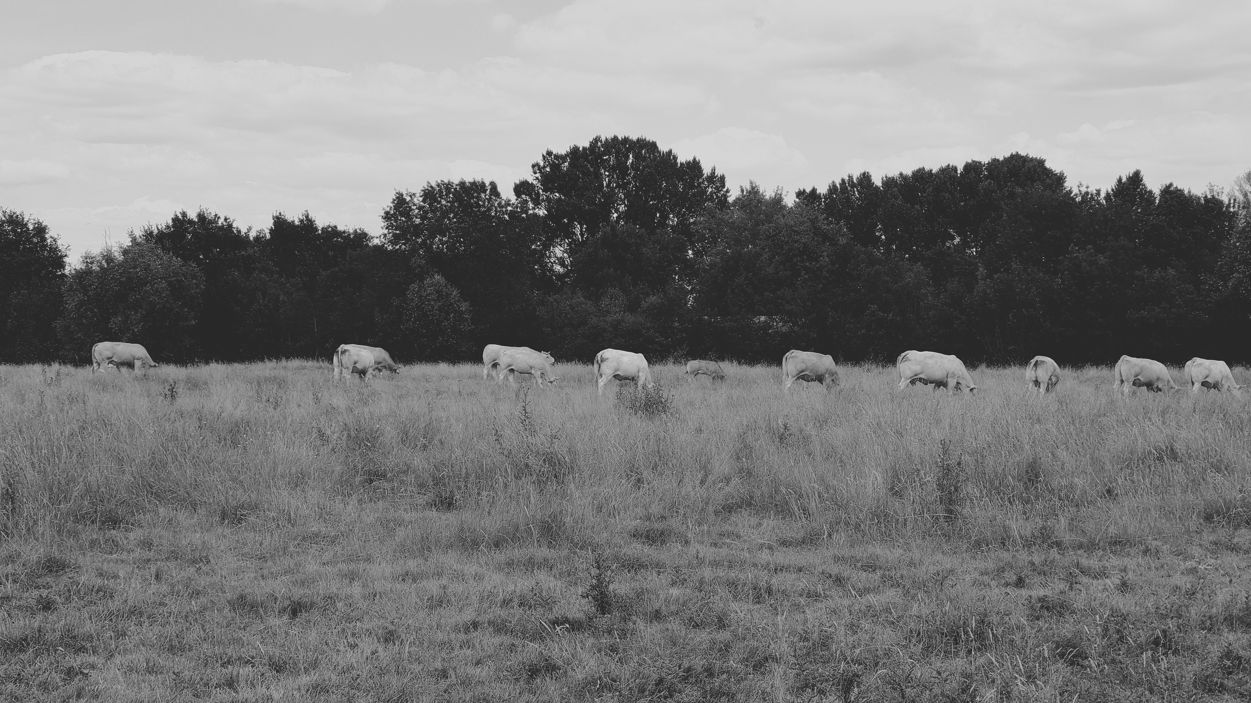 Photo by illiakholin