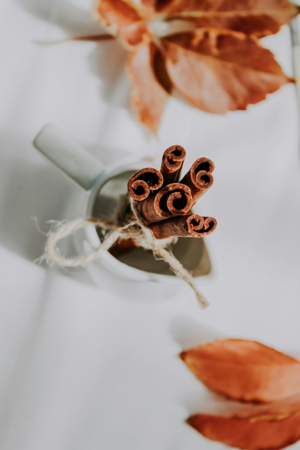 white and brown floral ceramic teacup on white ceramic saucer