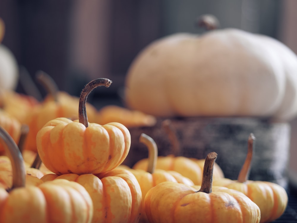 orange pumpkins on brown wooden table