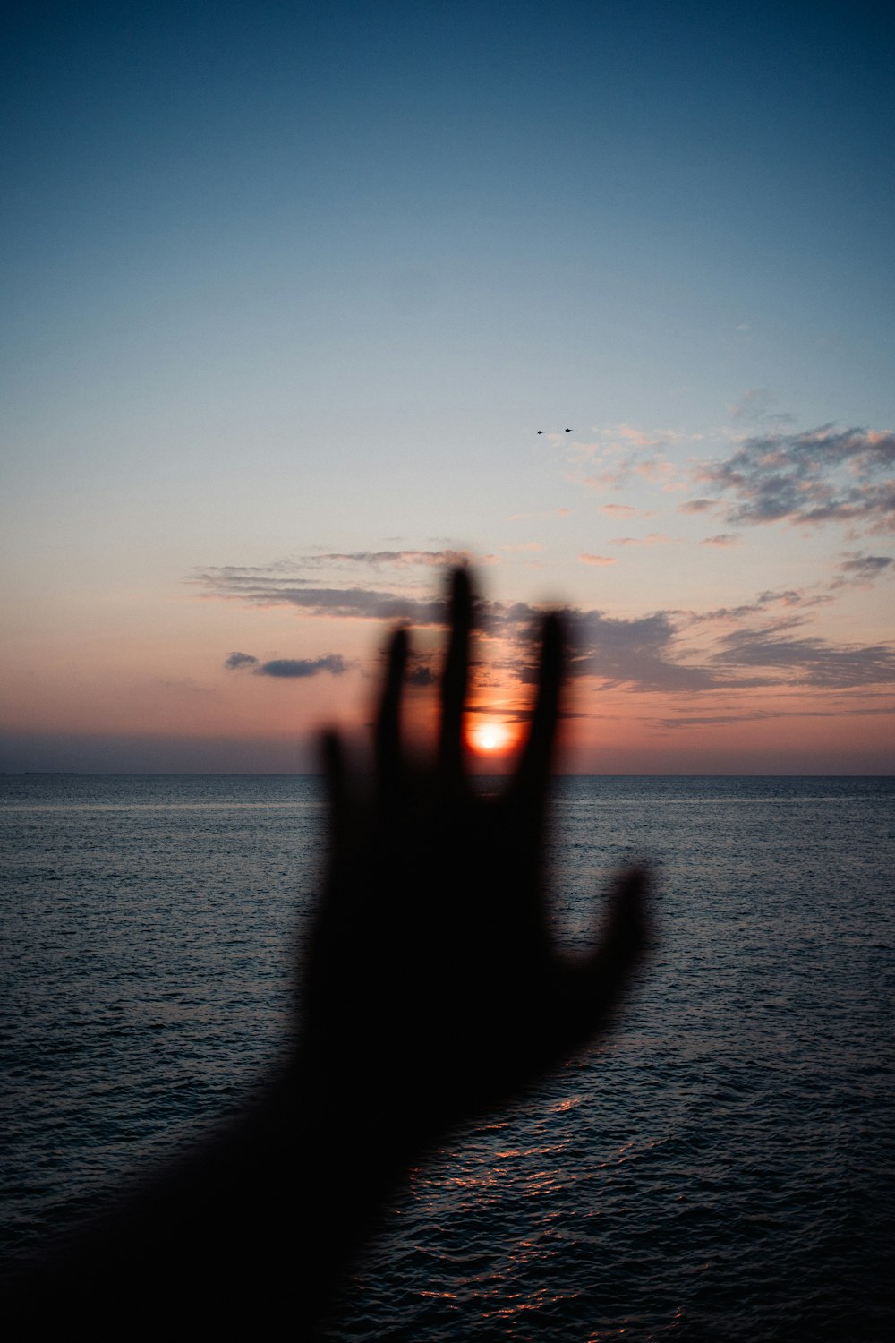 silhouette of persons hand