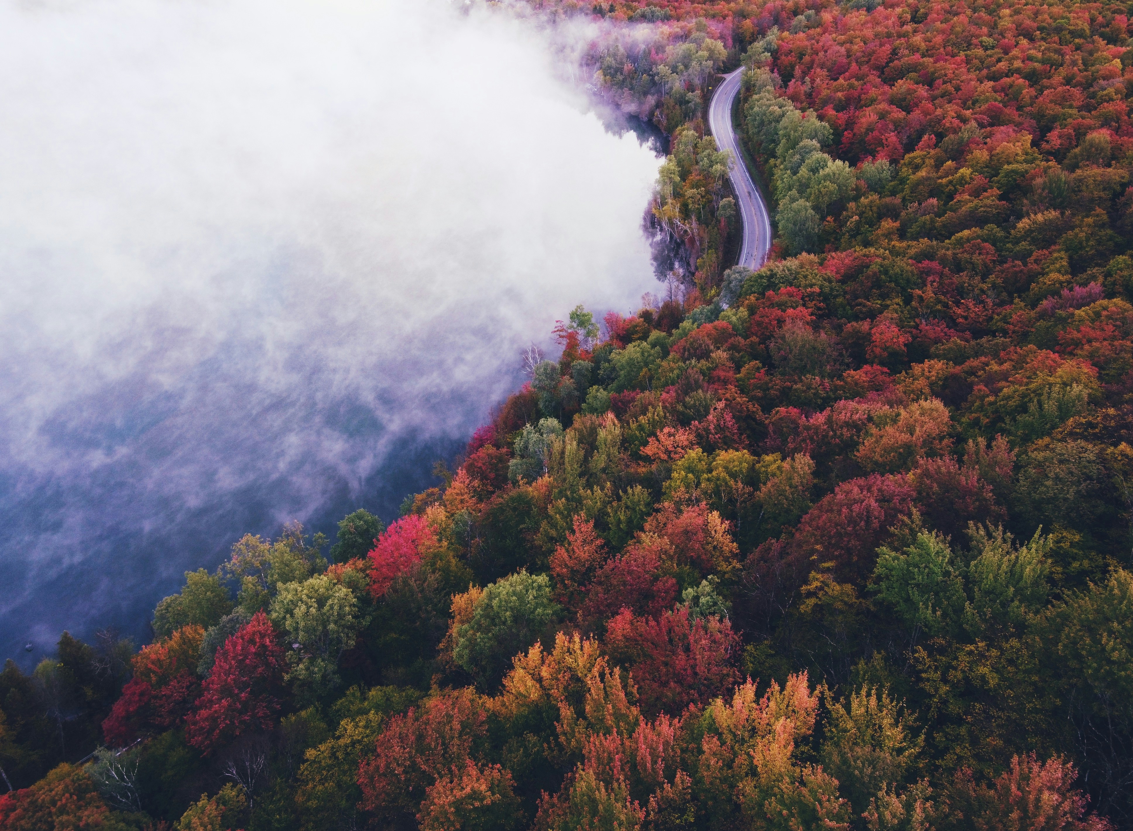 Photo by aaronburden