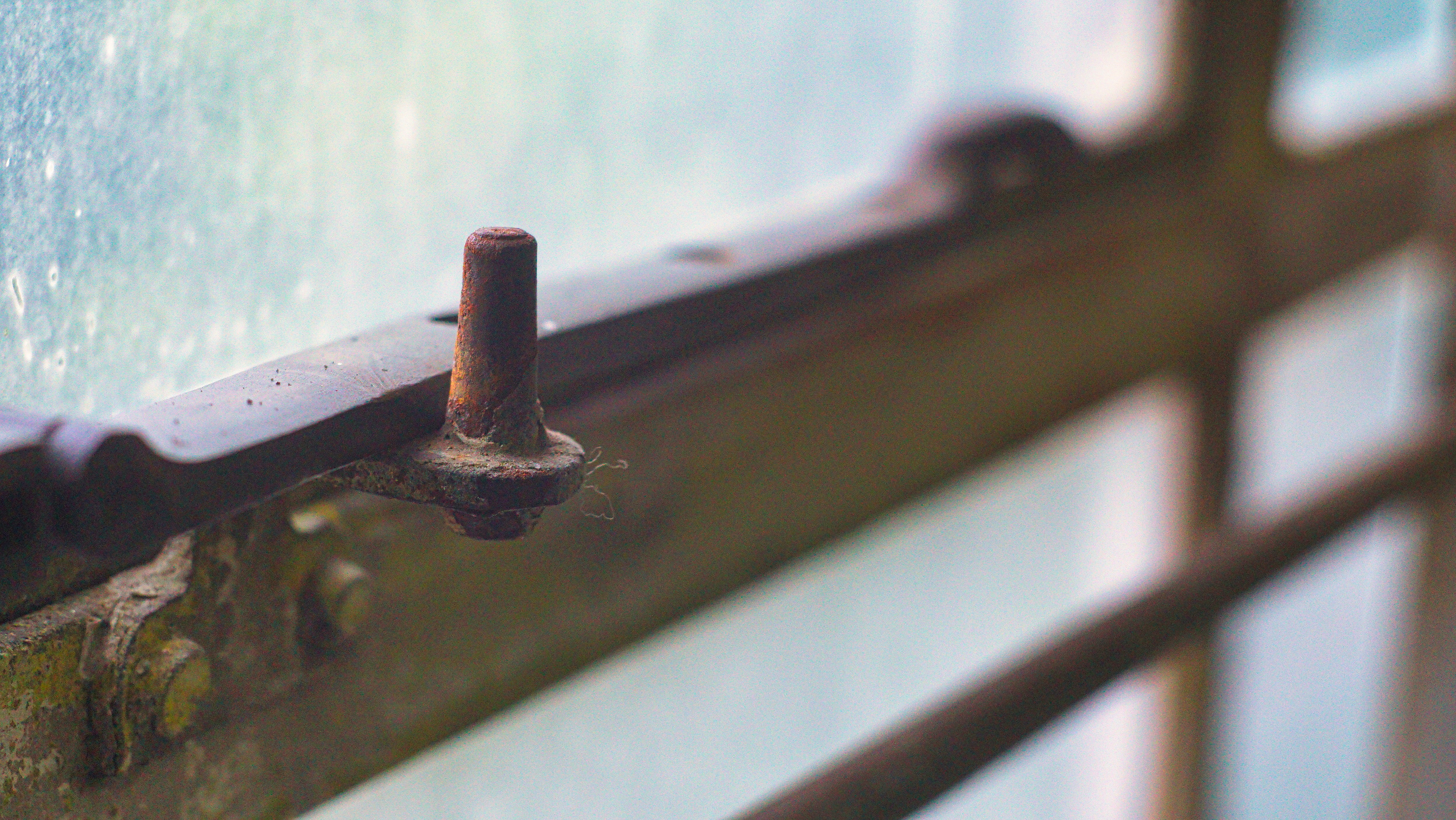 Photo by thomaskinto