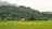 A lush green landscape with a line of bicycles parked in the middle of a vibrant rice field. Dense trees and hills form a backdrop, with a small house nestled among the trees.