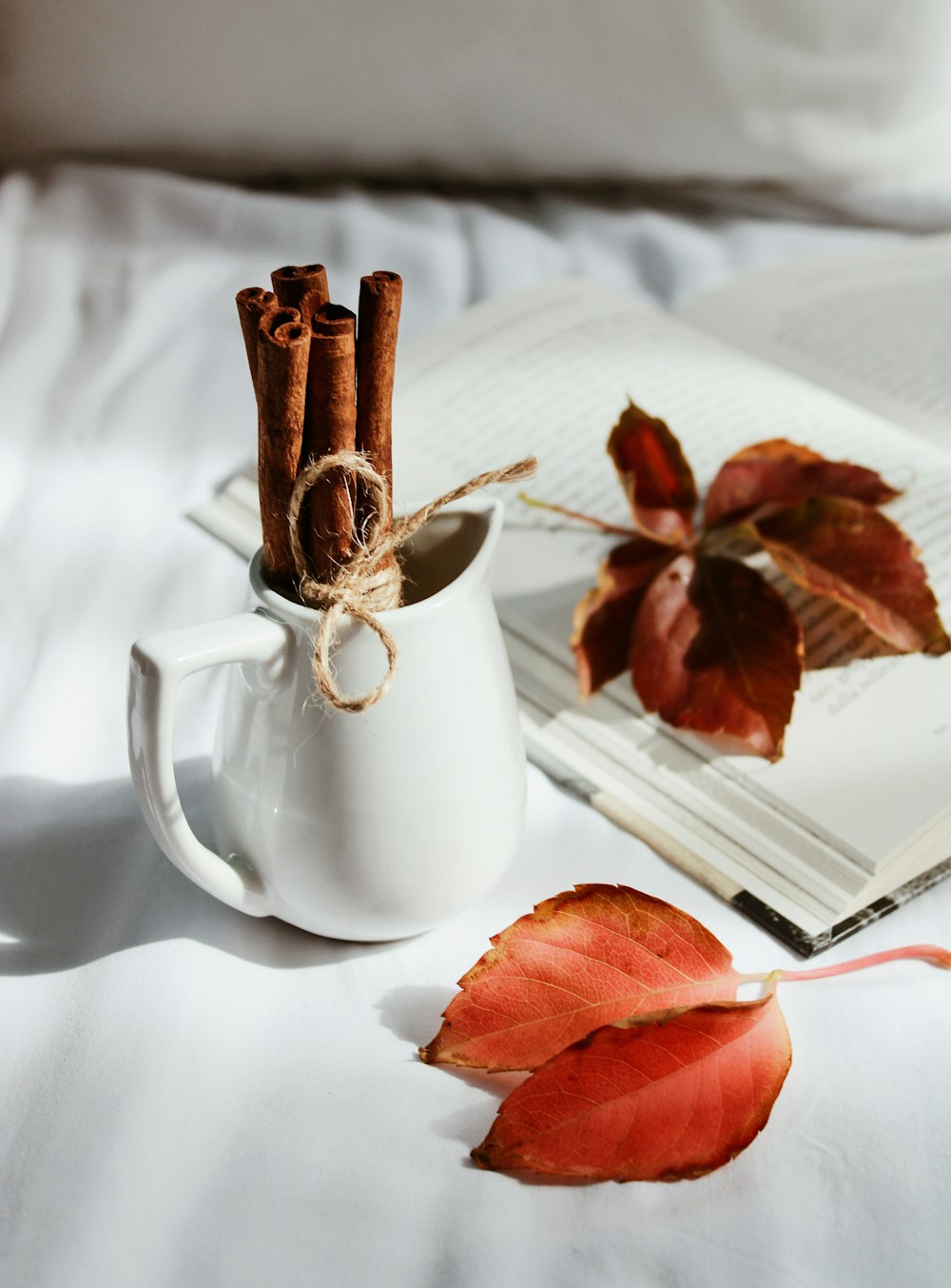 foglie rosse su tazza di ceramica bianca