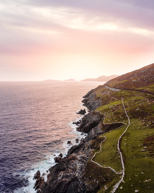 green grass field near body of water during daytime in Dingle Peninsula Ireland