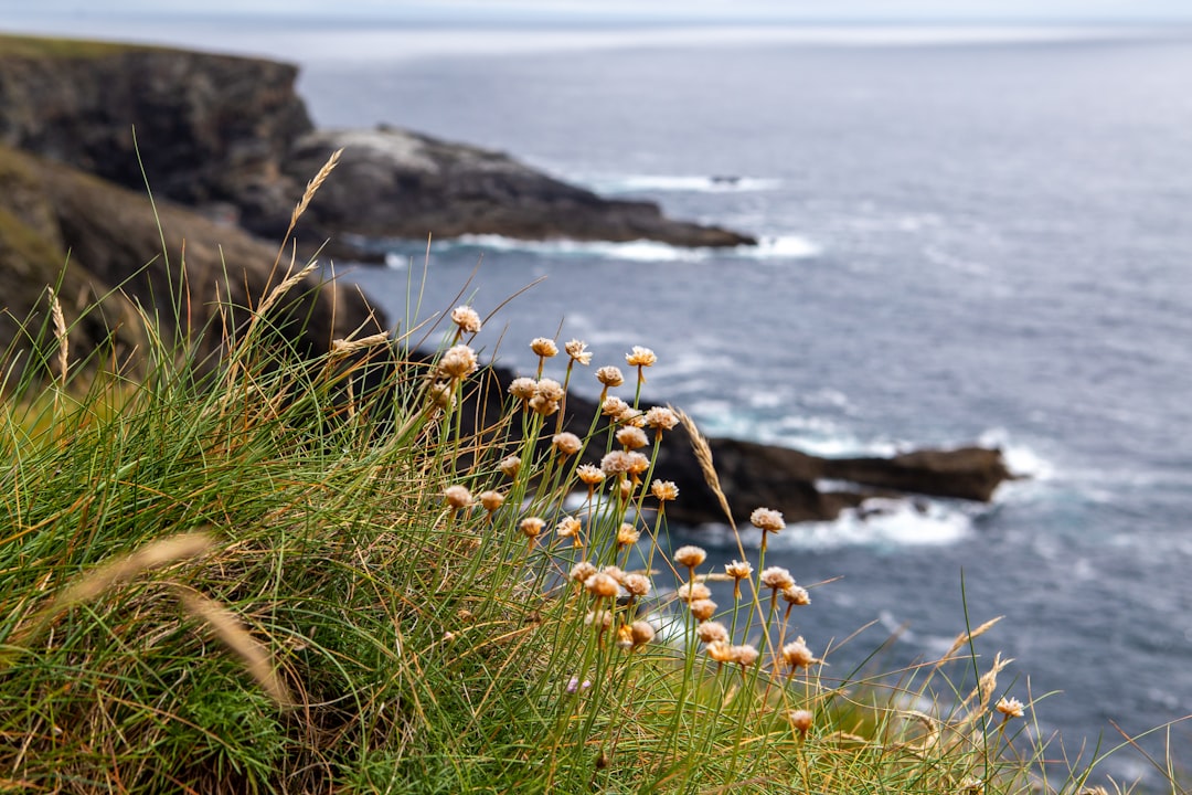 Cliff photo spot Mizen Head Old Head of Kinsale