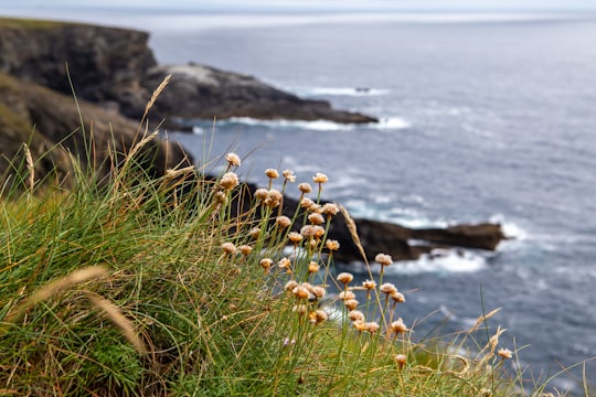 photo of Mizen Head Cliff near Cork