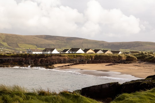 brown and green grass field near body of water during daytime in Dingle Peninsula Ireland