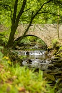 brown concrete bridge over river