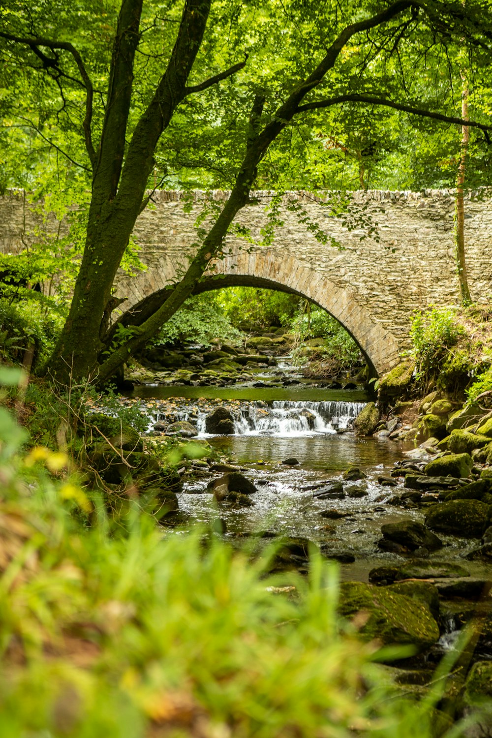 Puente de hormigón marrón sobre el río
