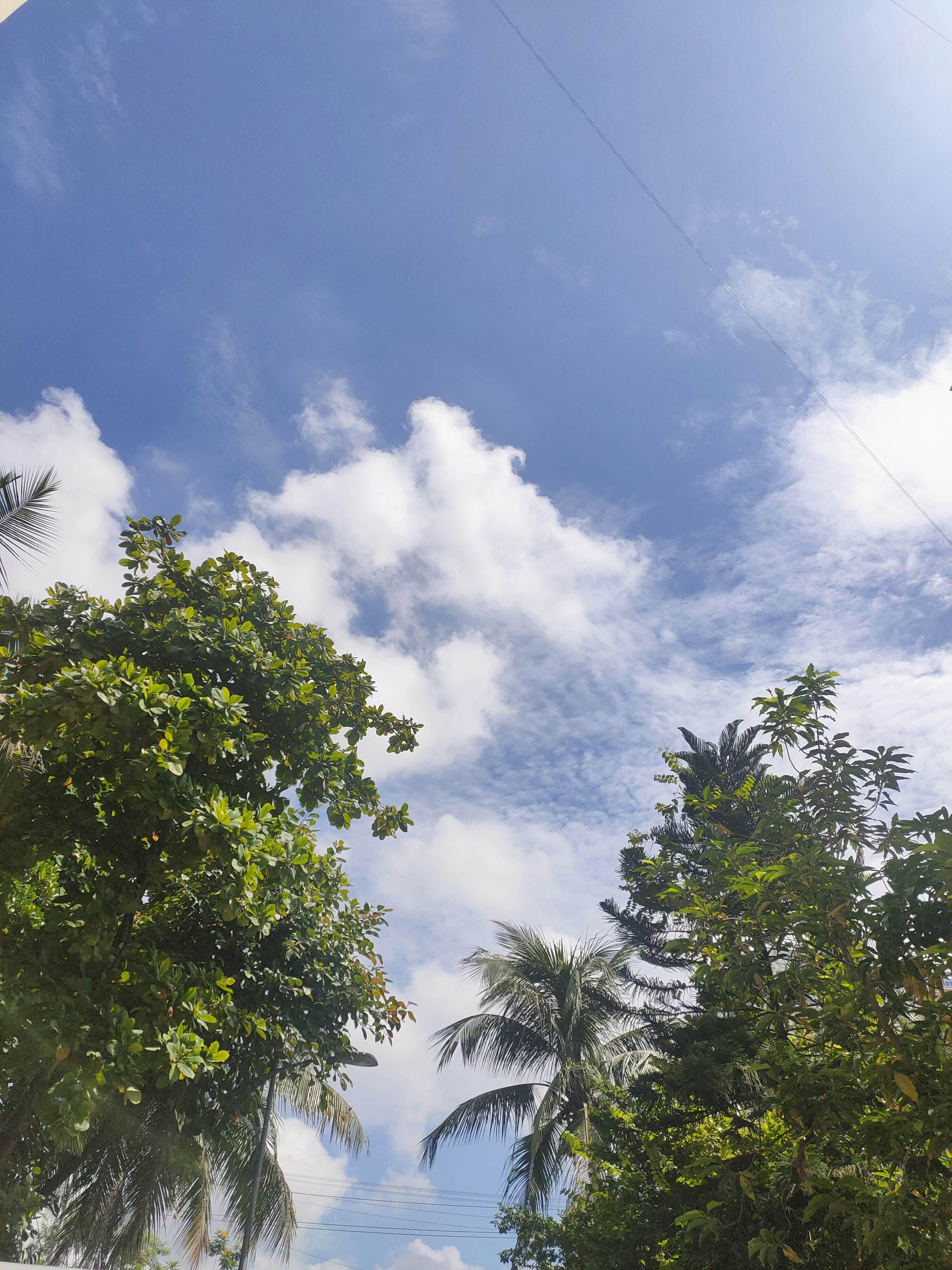 Photo by snap_o_shot