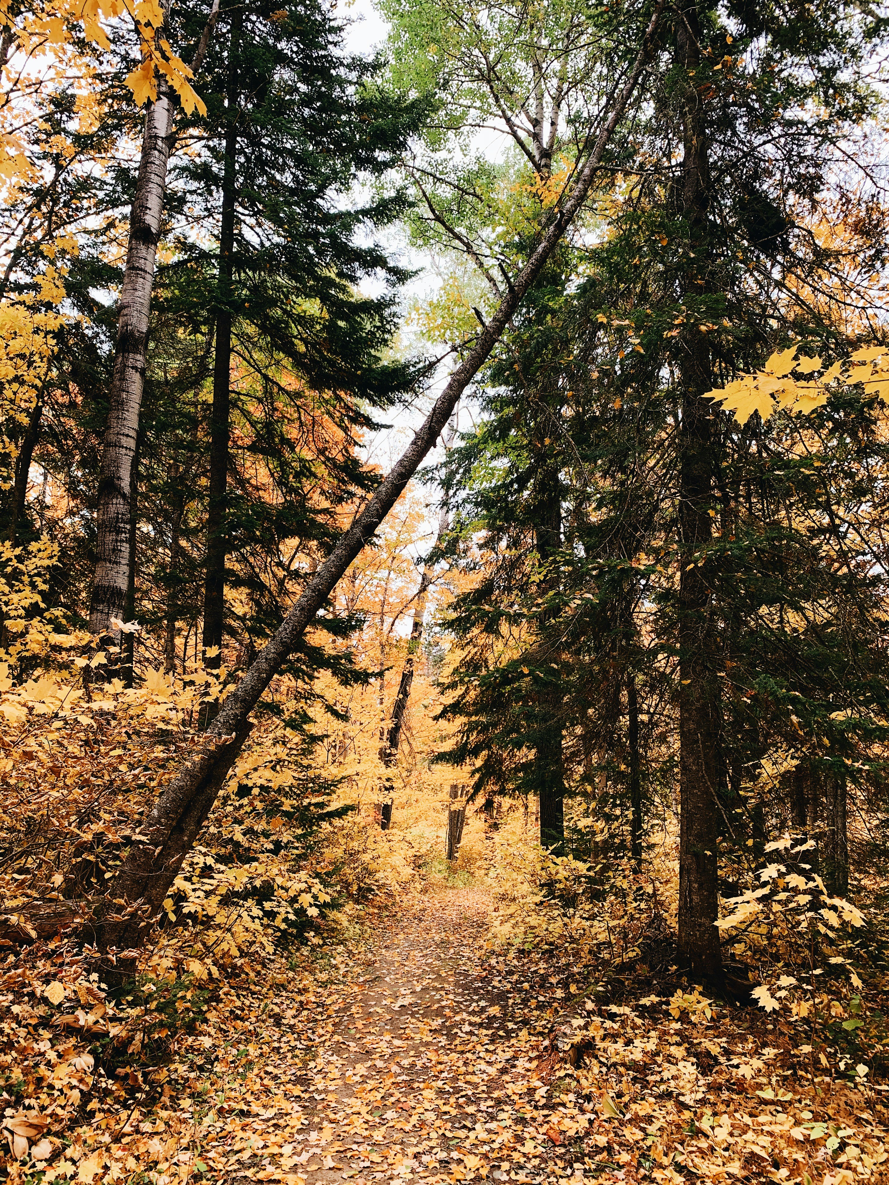 Photo by bethanyesther