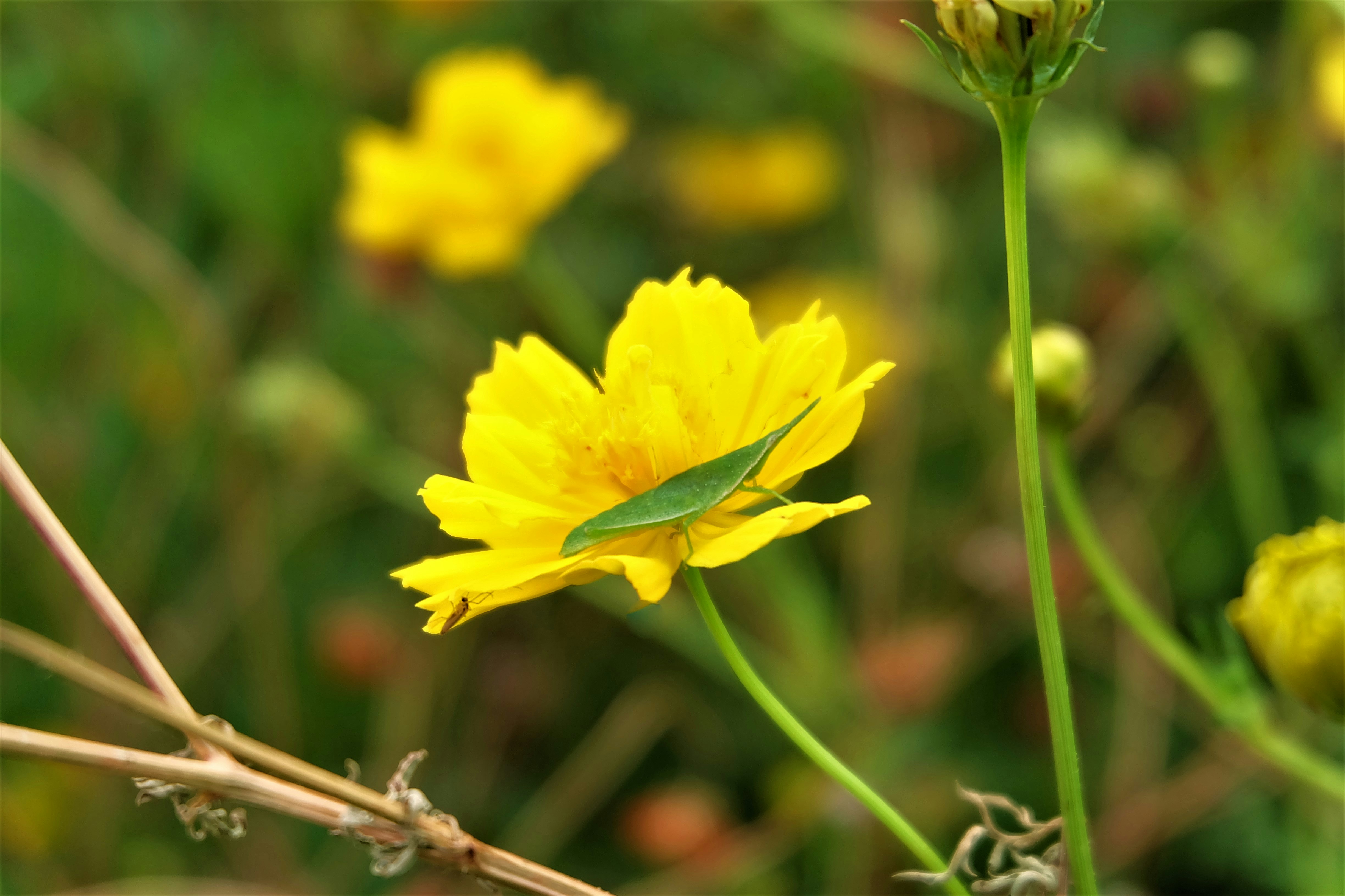 Photo by joulebennoy