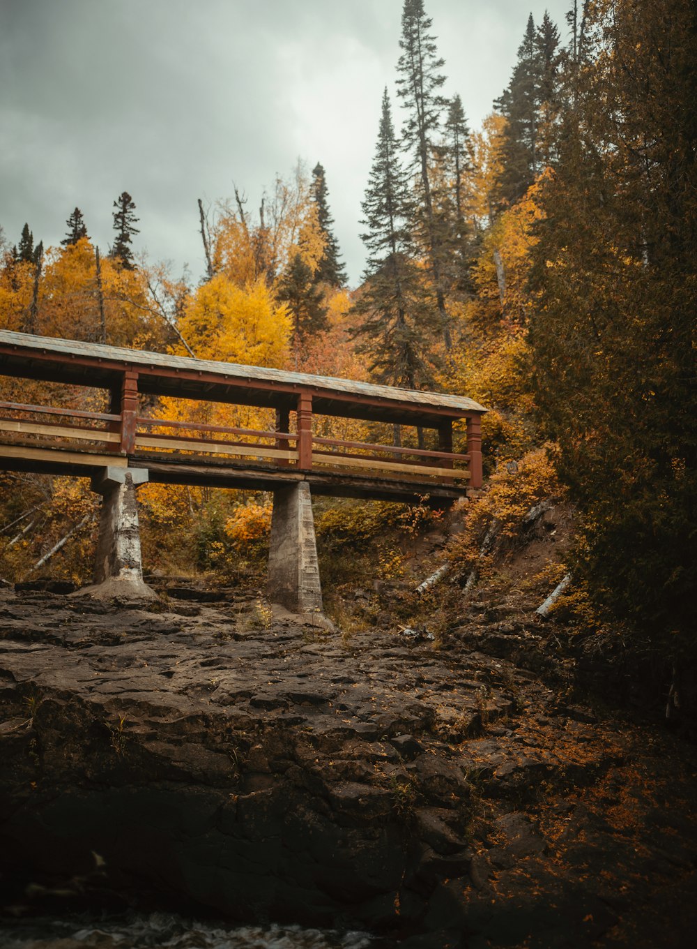 brown wooden bridge over river