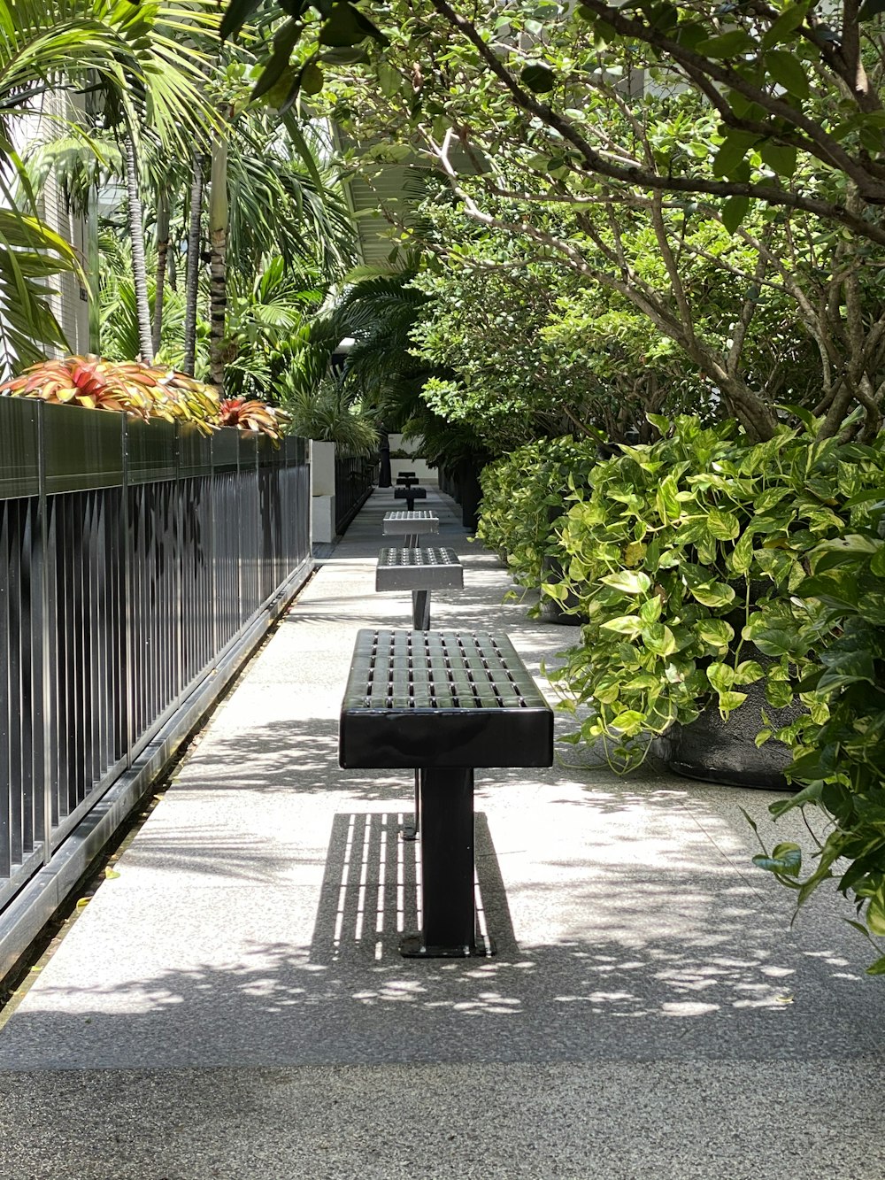 gray concrete bench near green plants and body of water during daytime