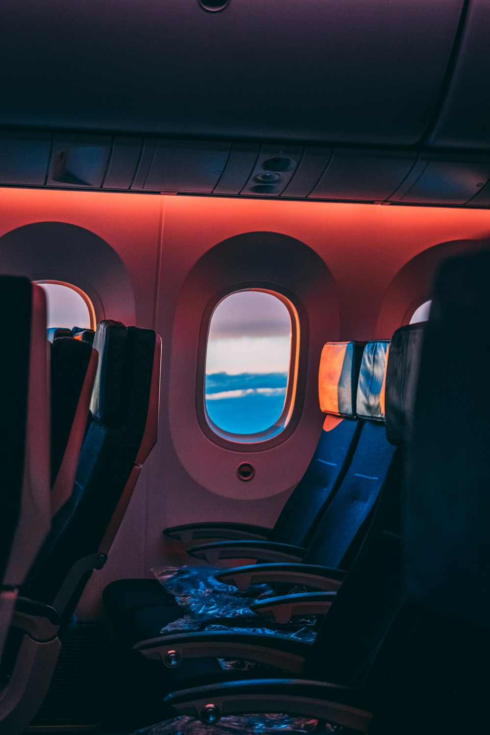 blue and red airplane seats