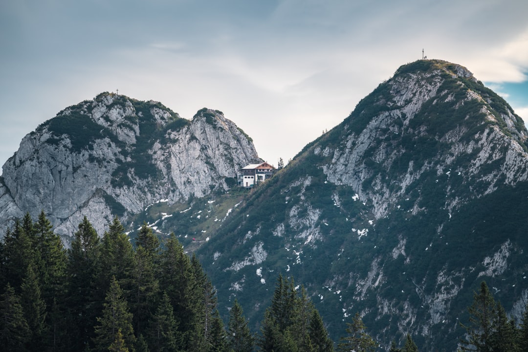 green trees on mountain under cloudy sky during daytime