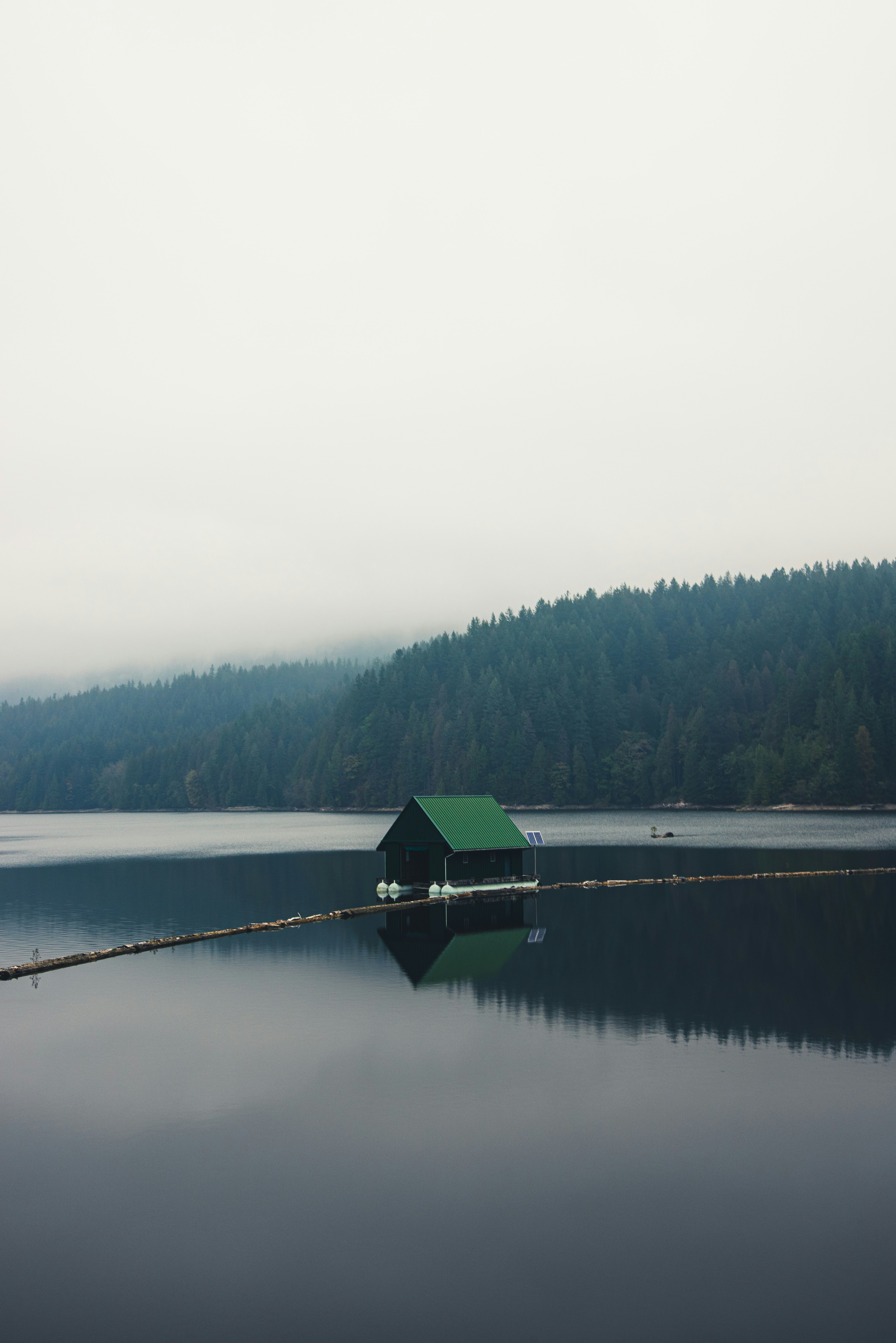 Photo by ryunosuke_kikuno