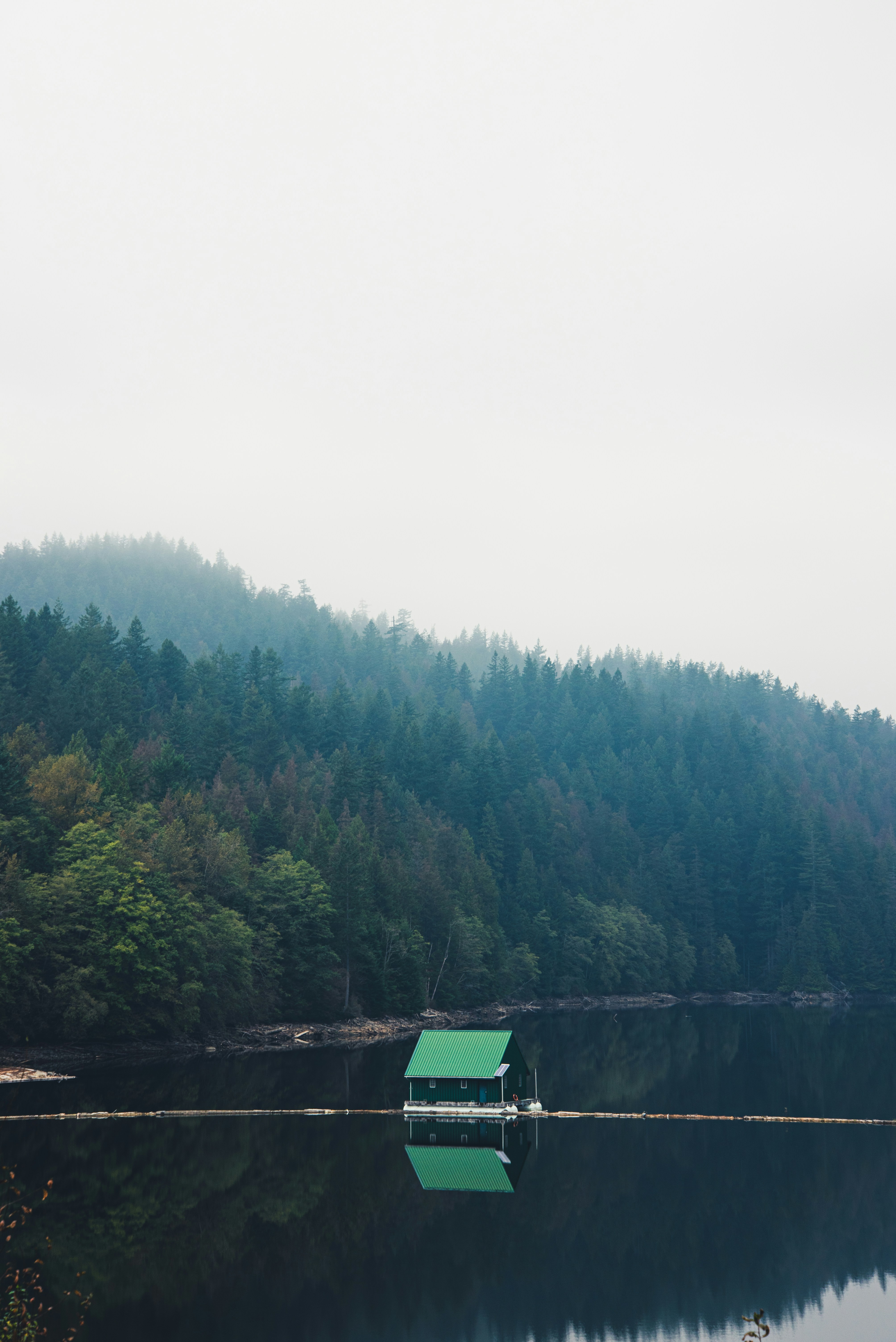 Photo by ryunosuke_kikuno