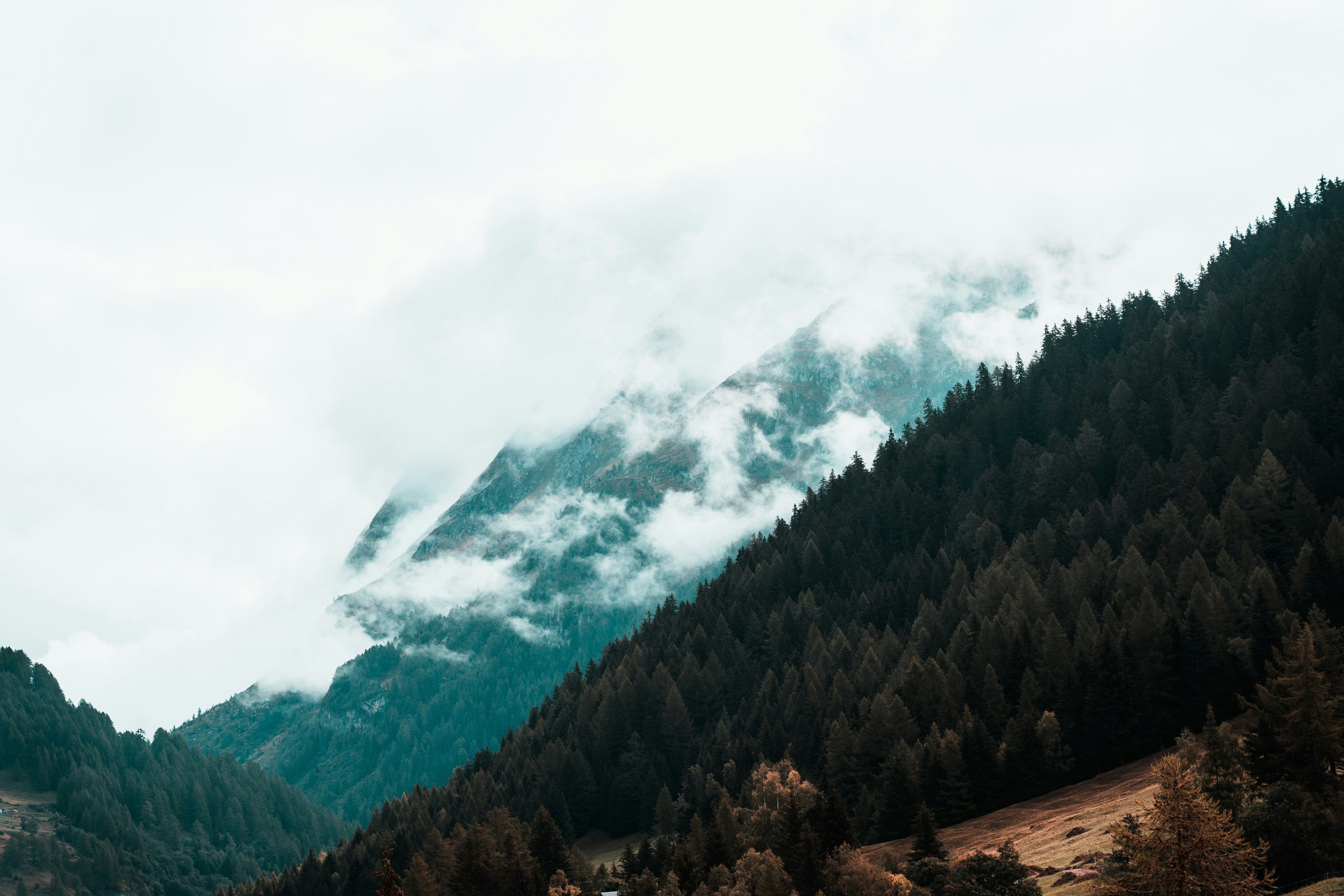 Photo by mitchelanneveldt