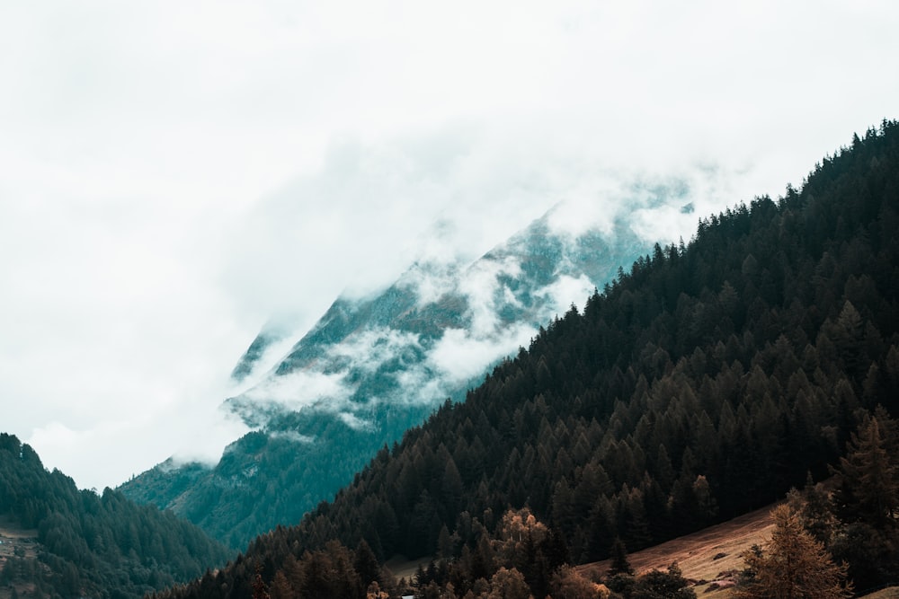 green trees near mountain under white clouds during daytime