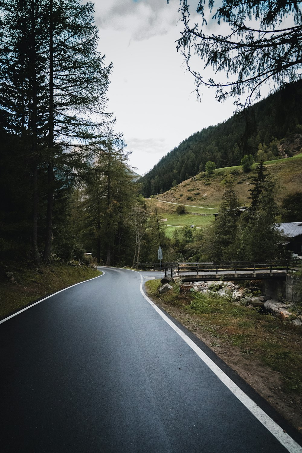 gray concrete road between green trees during daytime