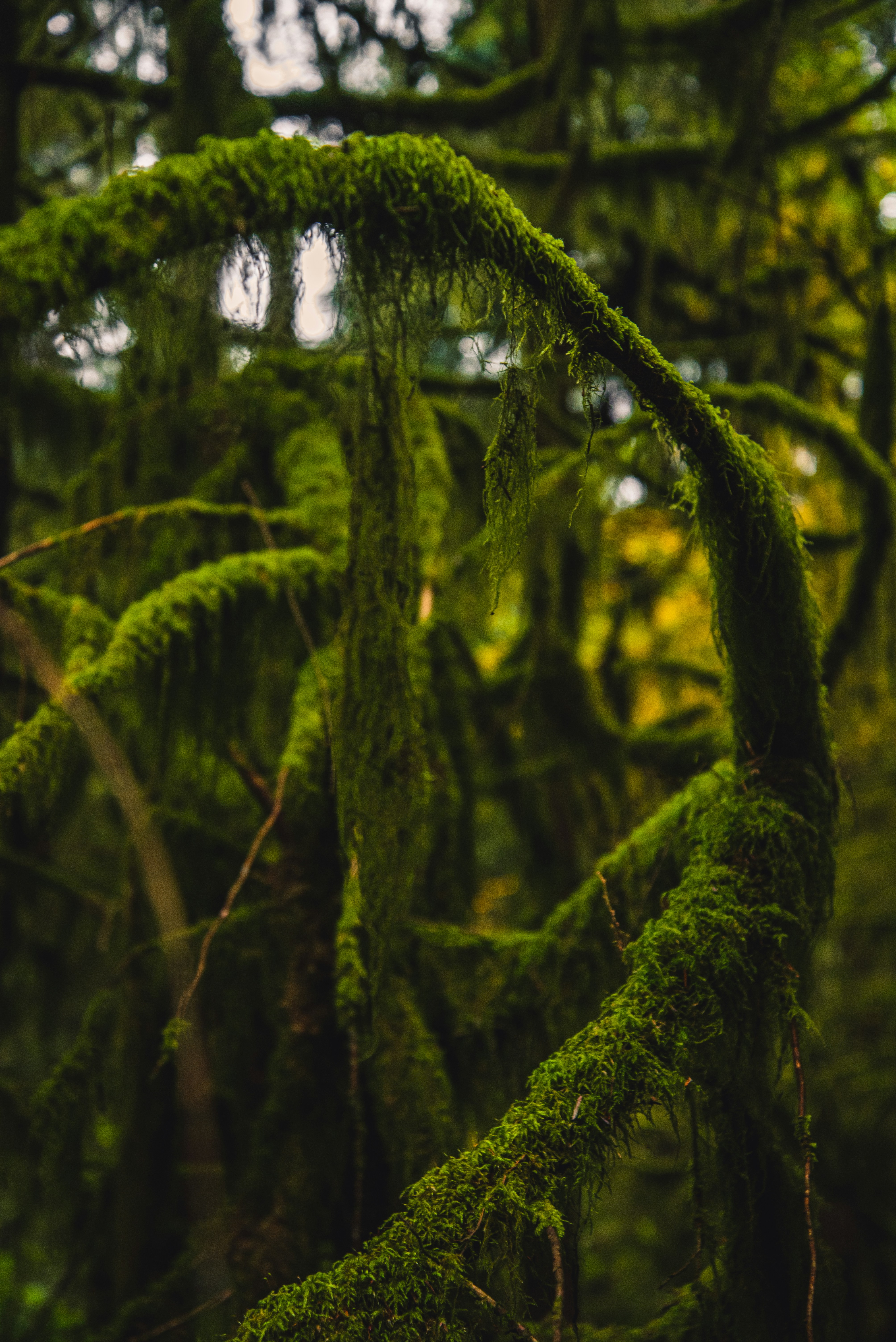 Your Study Playlist Is Probably Making You Dumber