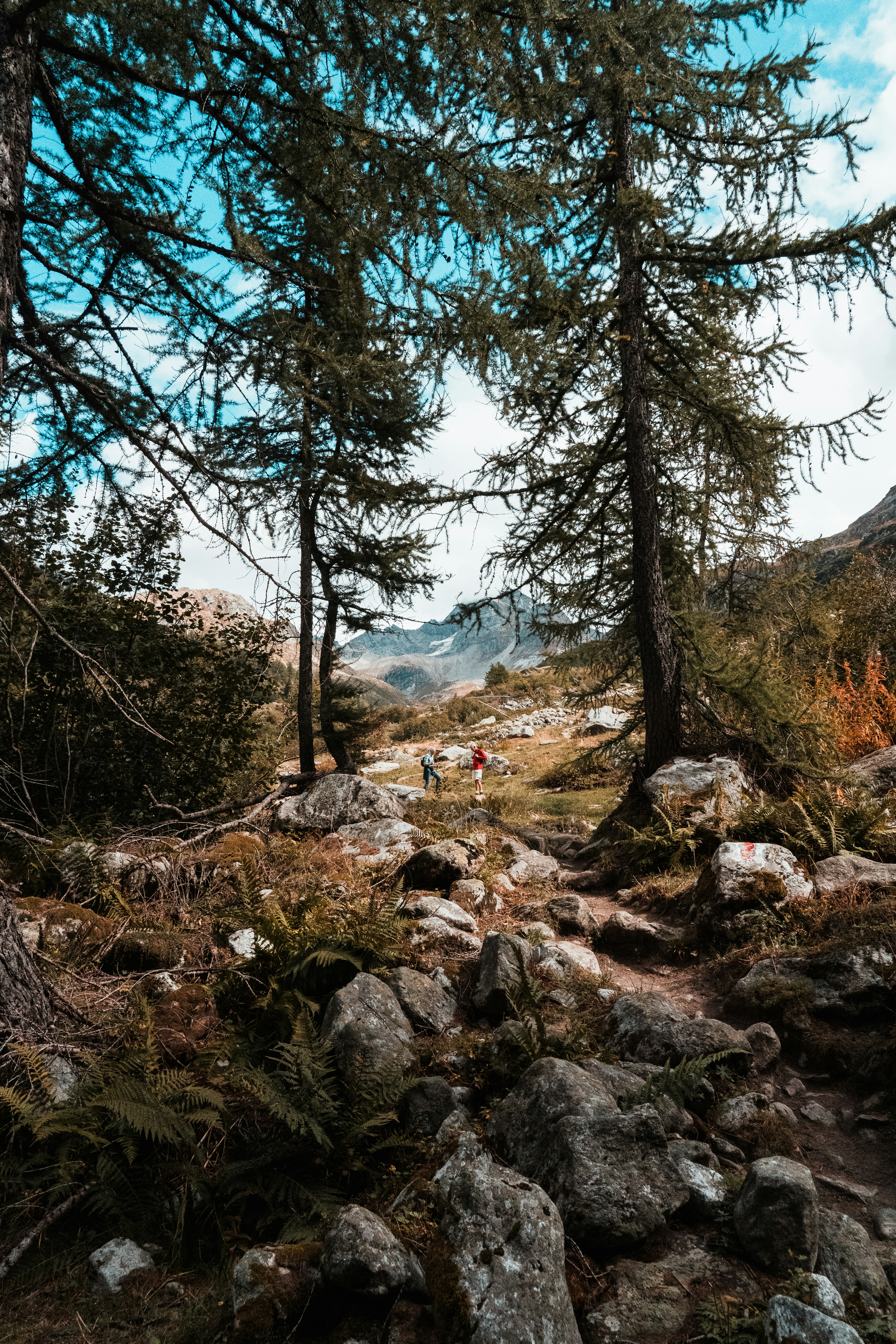 Photo by mitchelanneveldt