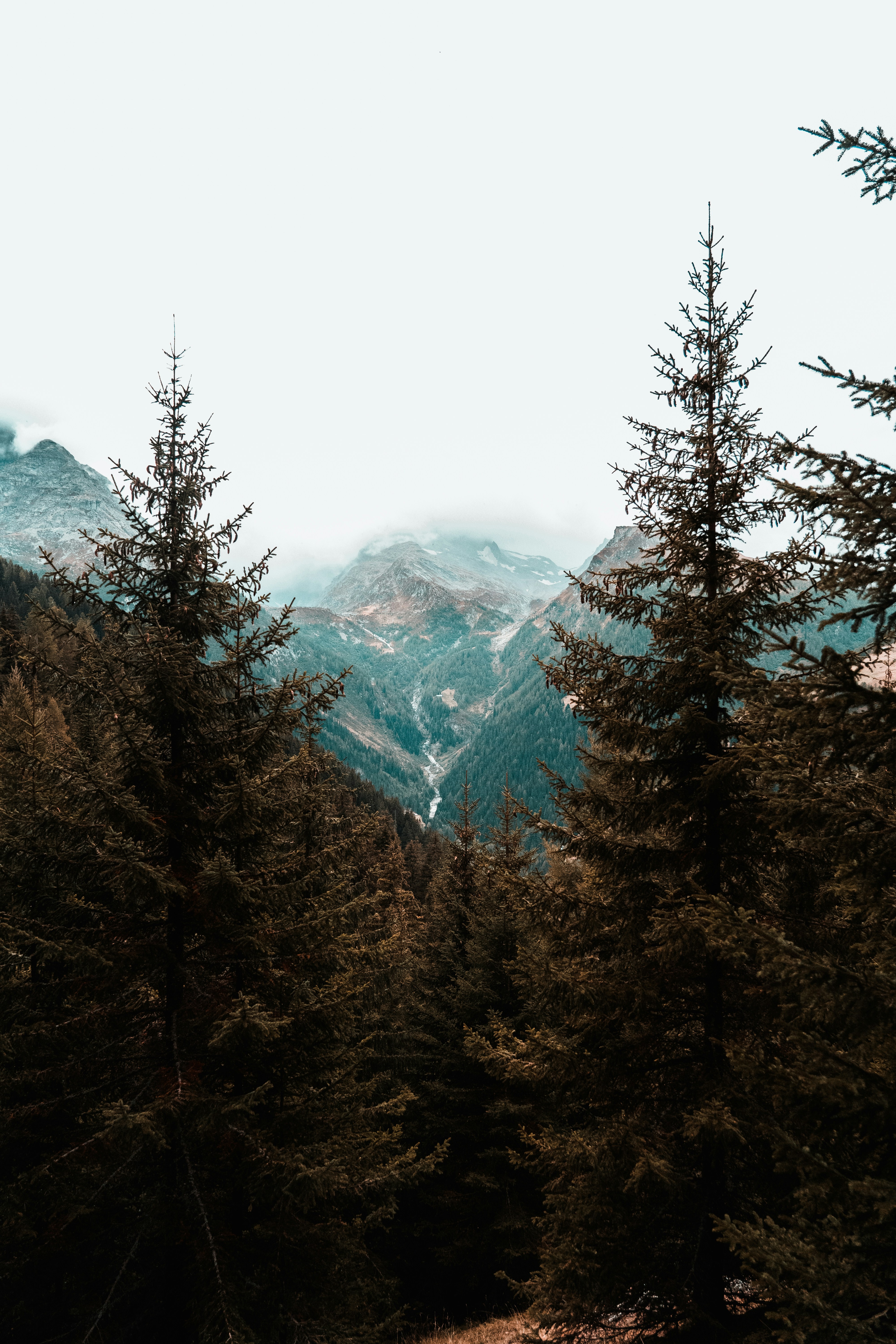 Photo by mitchelanneveldt