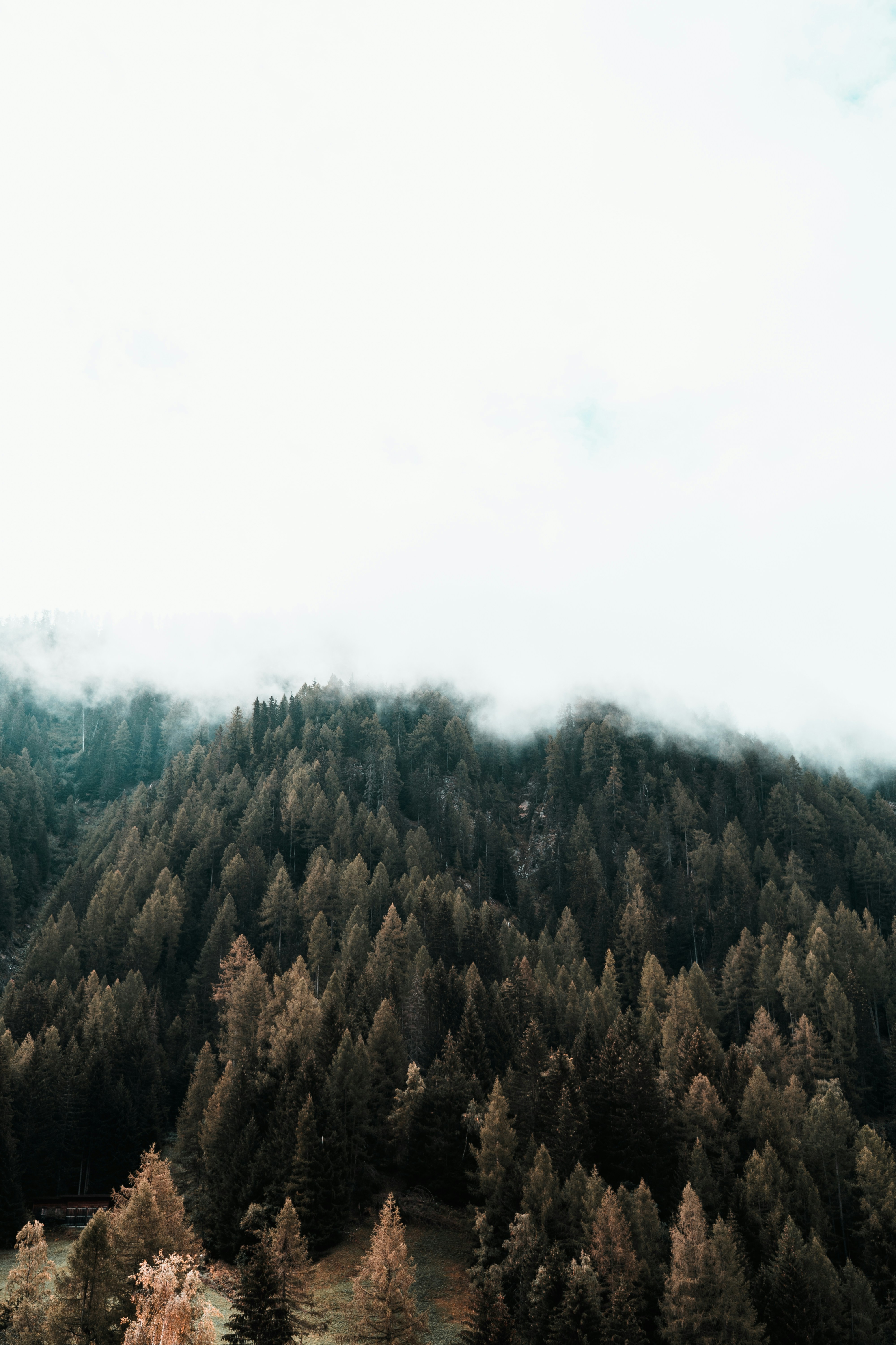 Photo by mitchelanneveldt