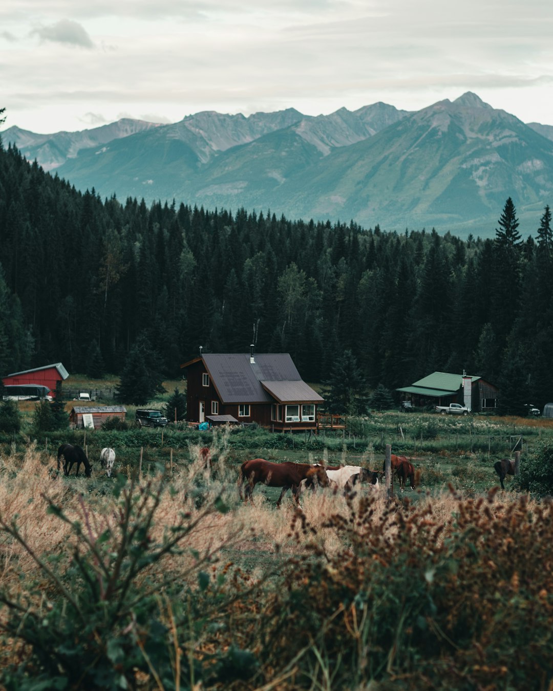 green and brown house near green trees and mountain during daytime