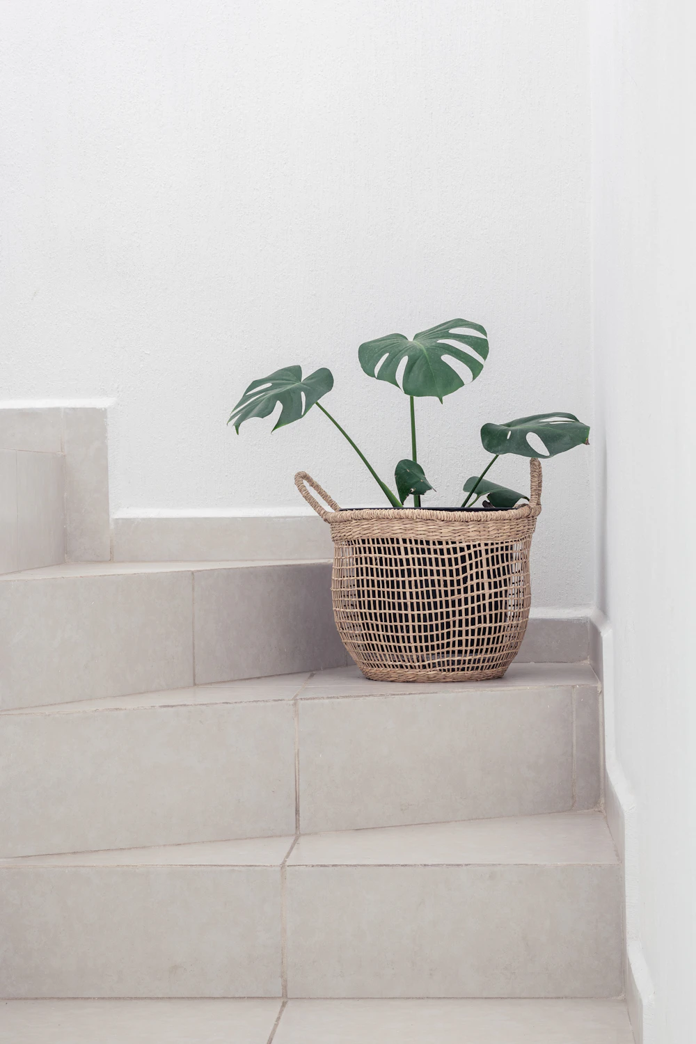 Woven Rattan Planter Basket