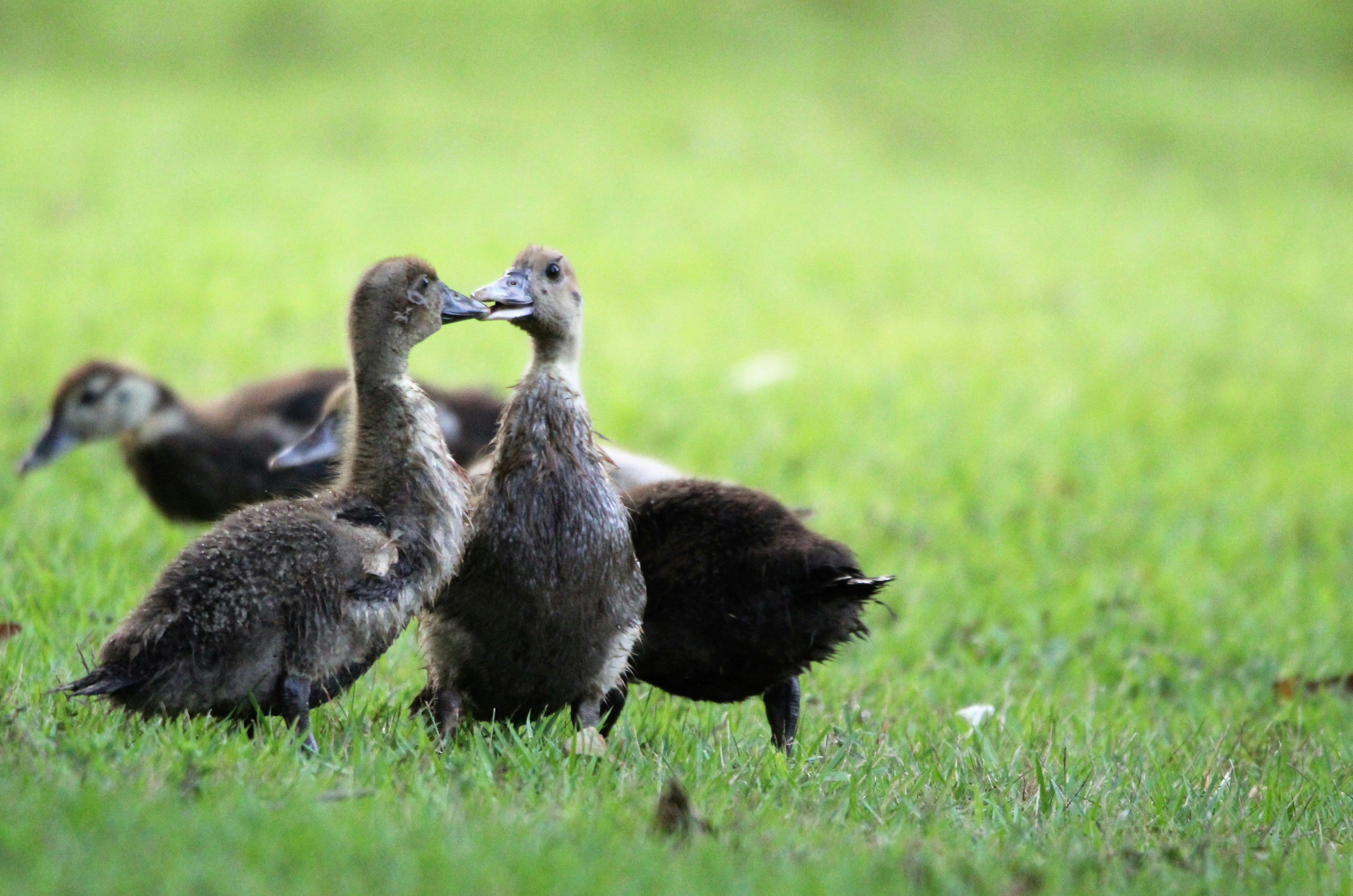 Photo by arkansas007