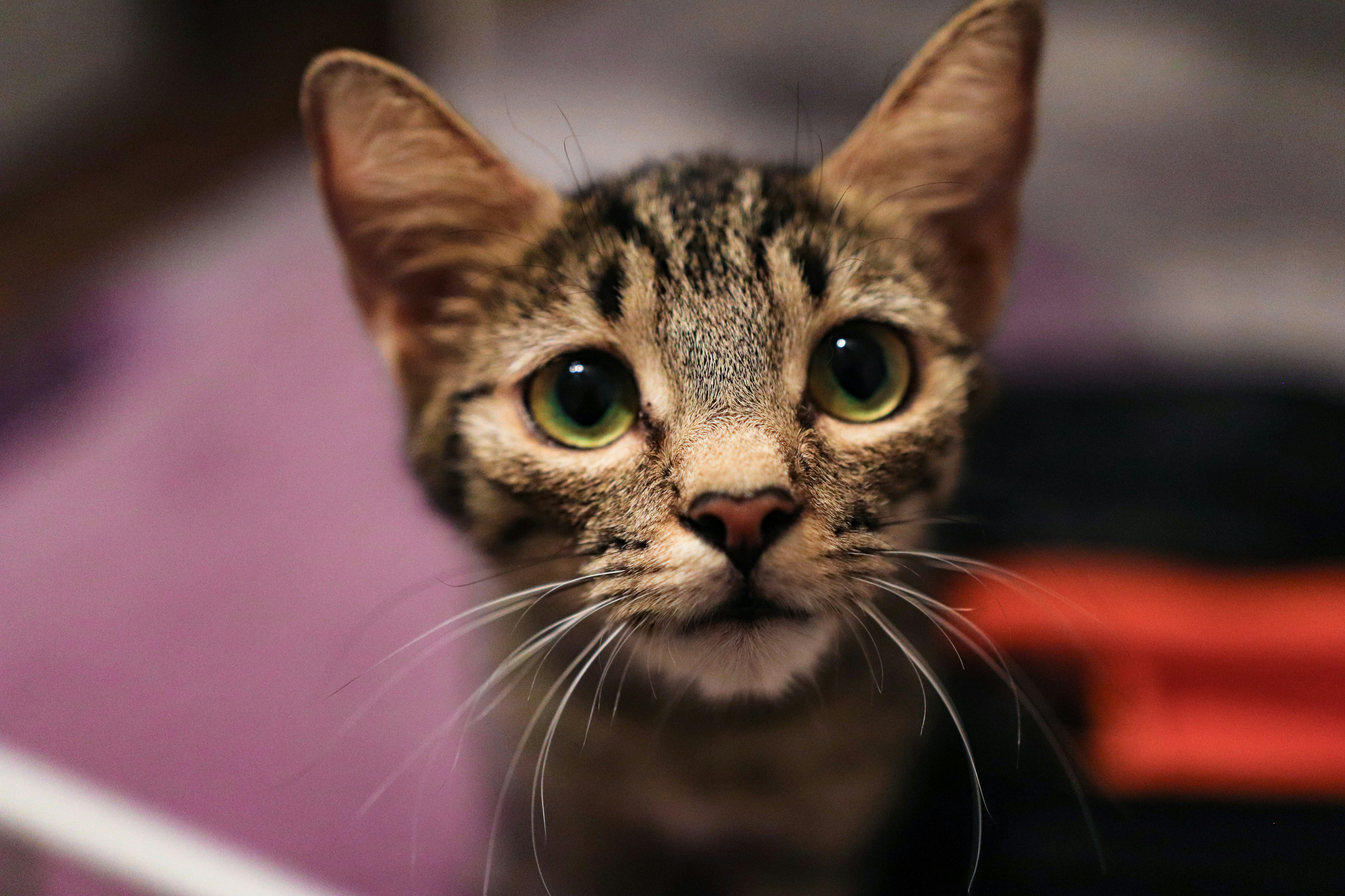 Photo by create4eyes