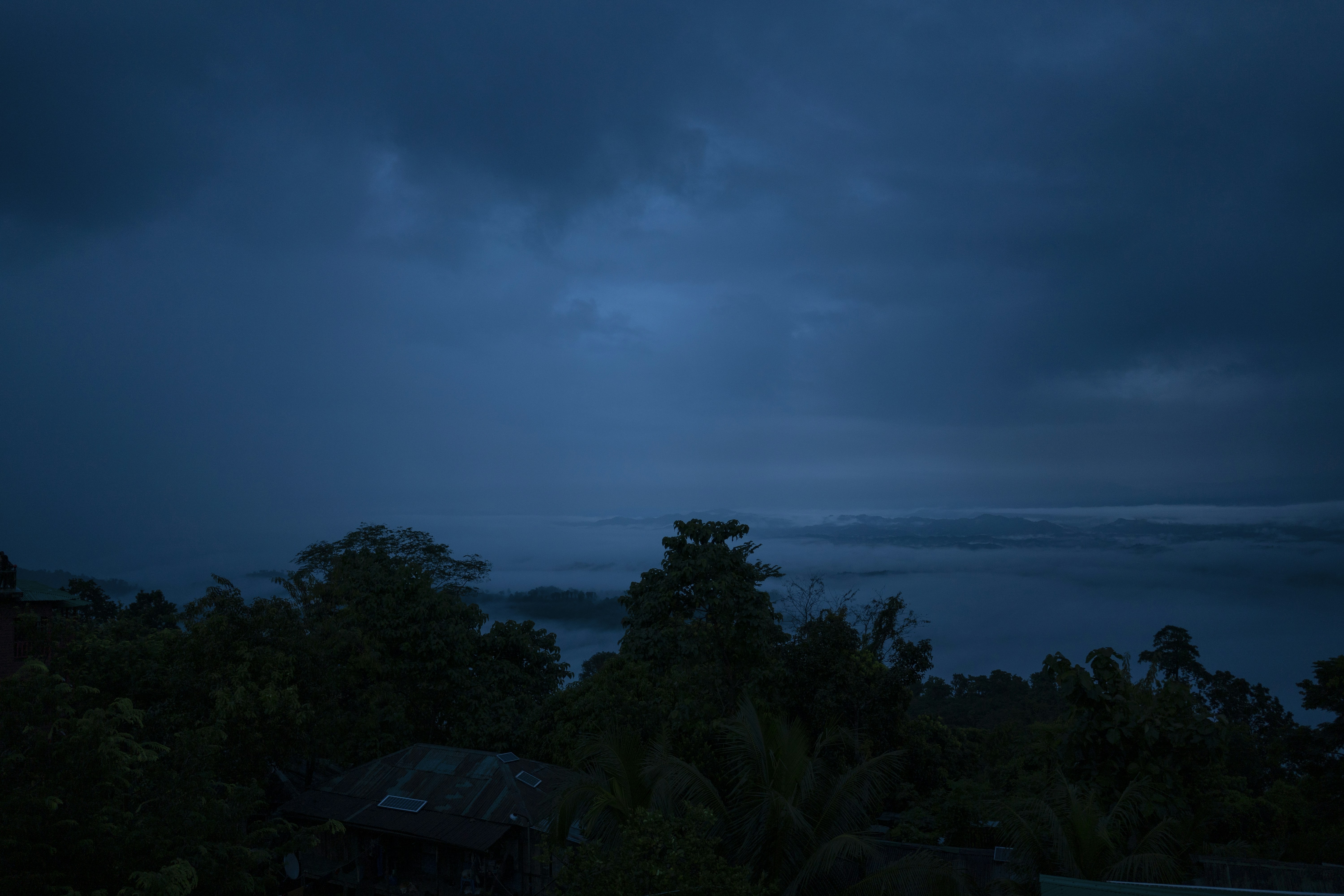 green trees under blue sky